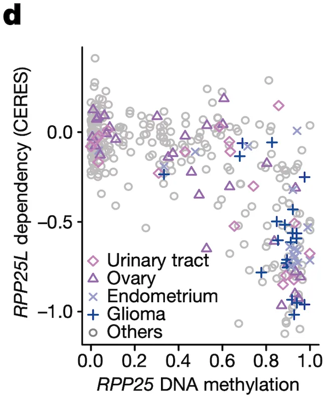 Figure 2d
