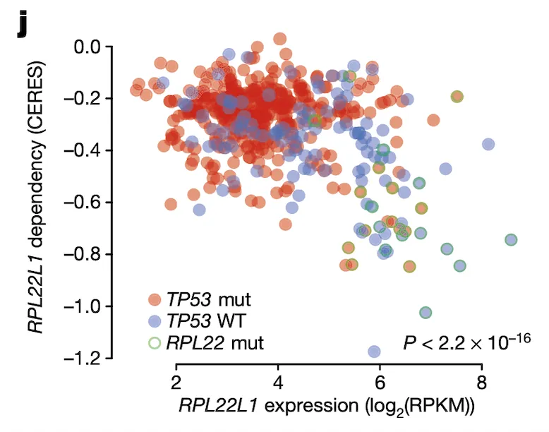 Figure 4j