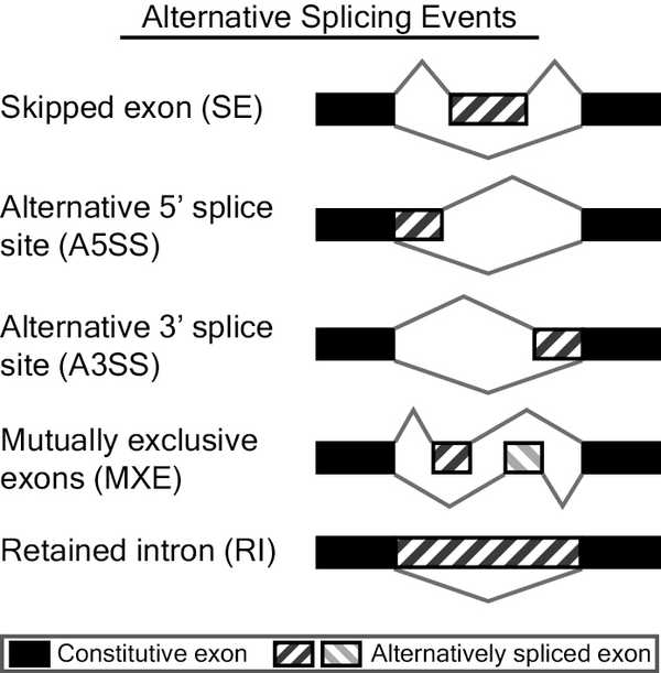 rMATS splicing modes